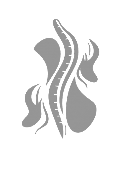 Praxis Pierre Jonker Logo